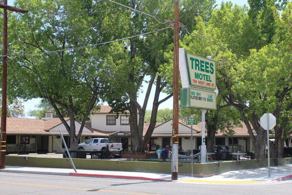 Trees Motel Bishop Esterno foto