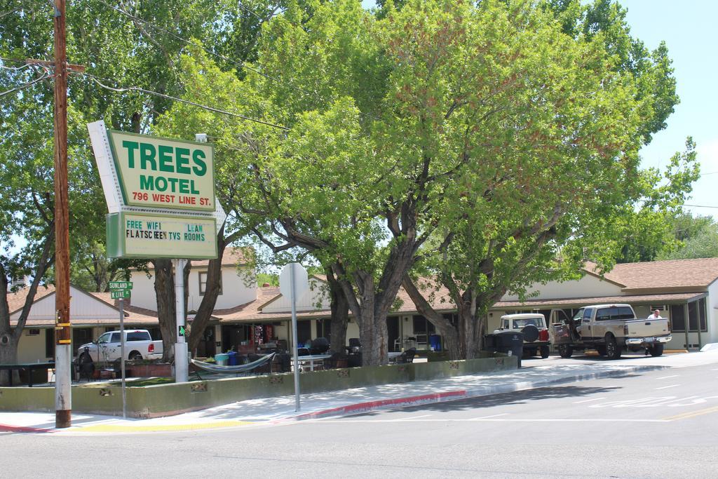 Trees Motel Bishop Esterno foto