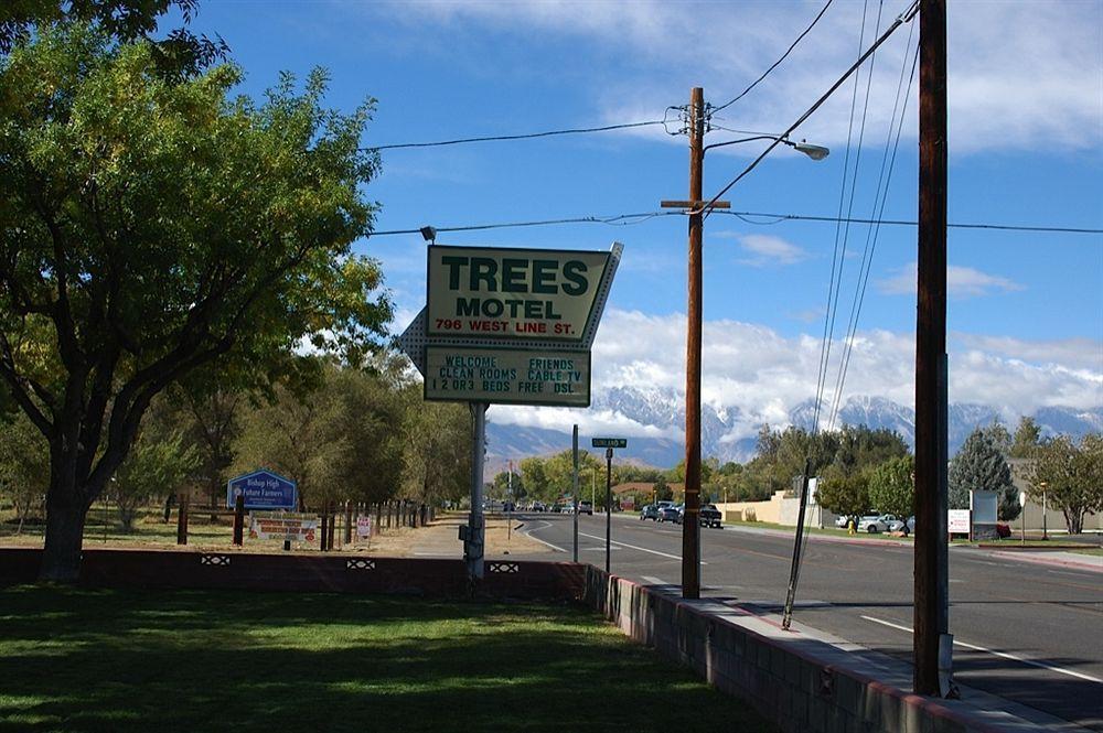 Trees Motel Bishop Esterno foto
