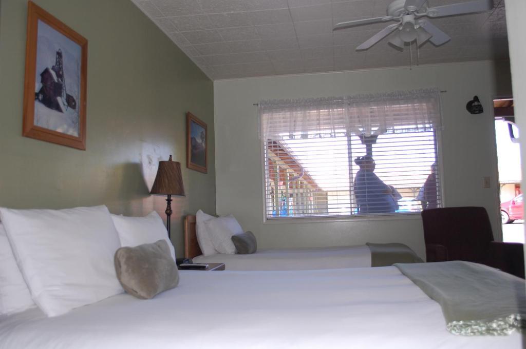 Trees Motel Bishop Camera foto
