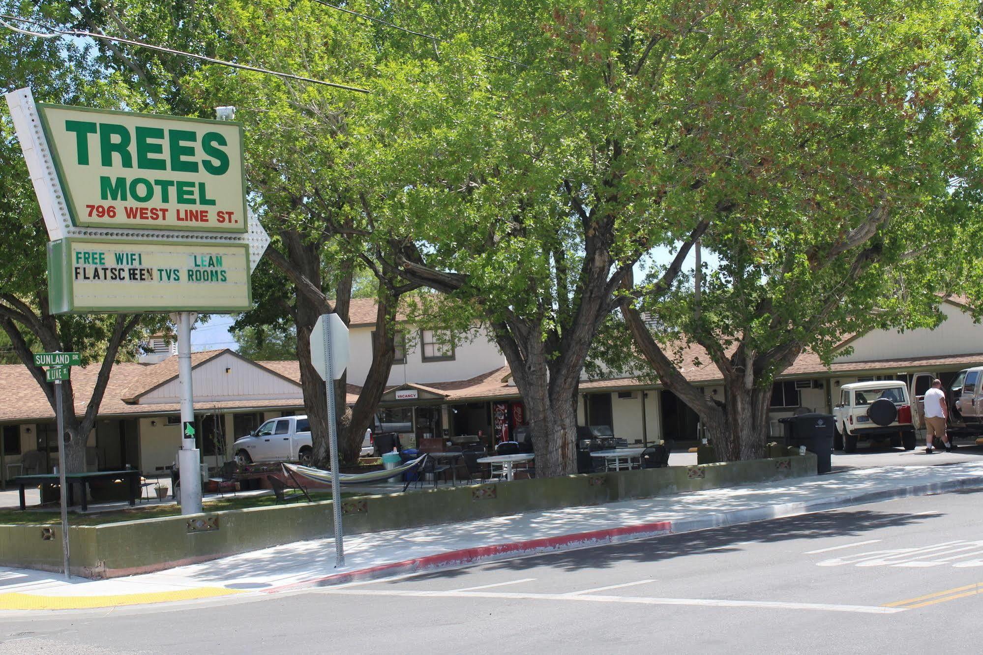Trees Motel Bishop Esterno foto